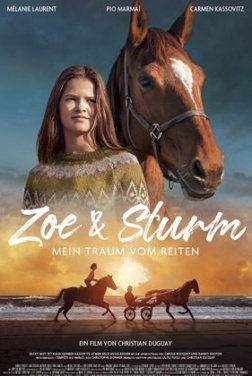 Zoe & Sturm (2023)