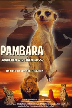 Pambara - Brauchen wir einen Boss  (2023)