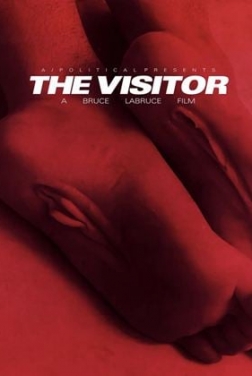 The Visitor (2024)